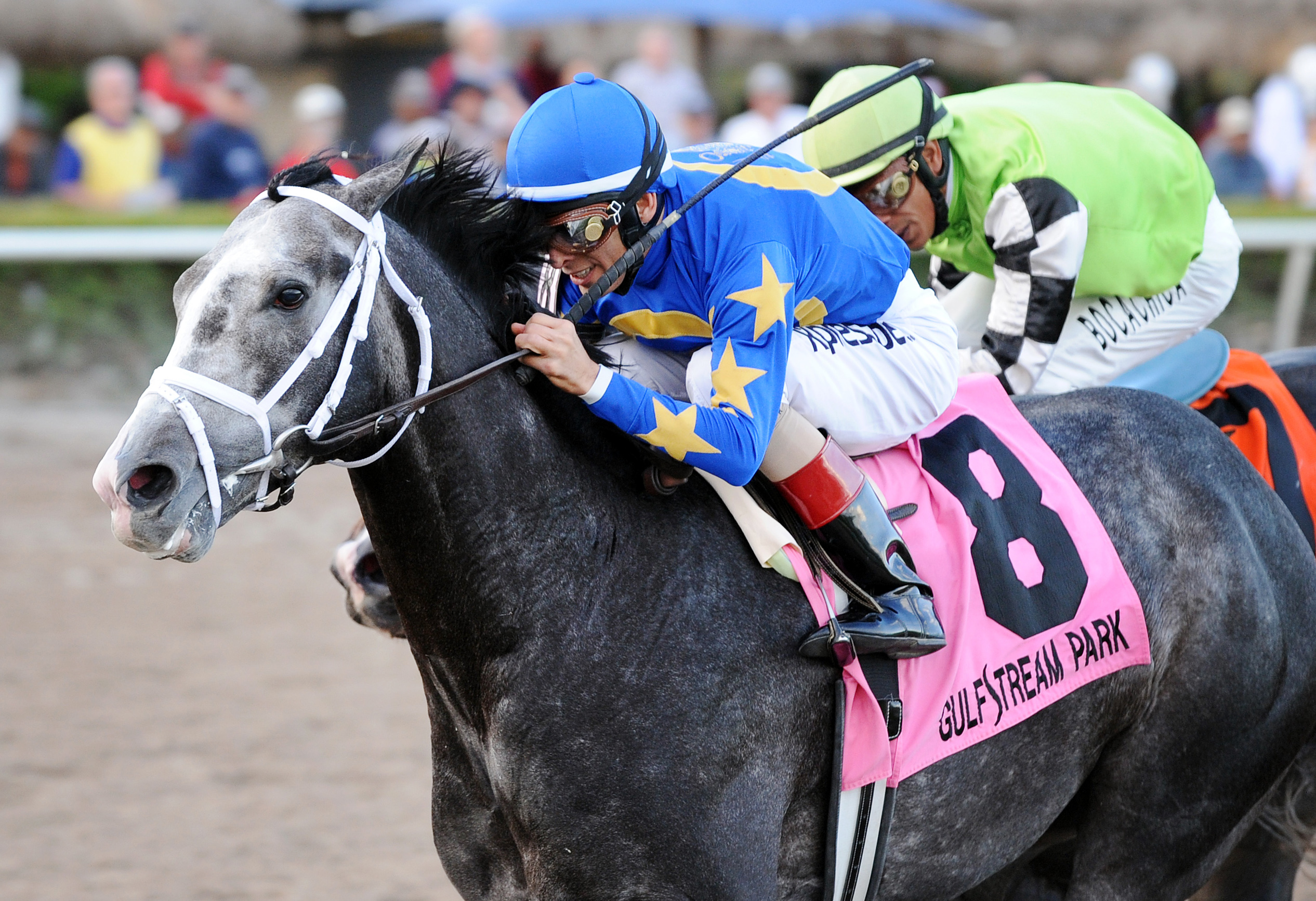 Liam's Map wins the Harlan's Holiday