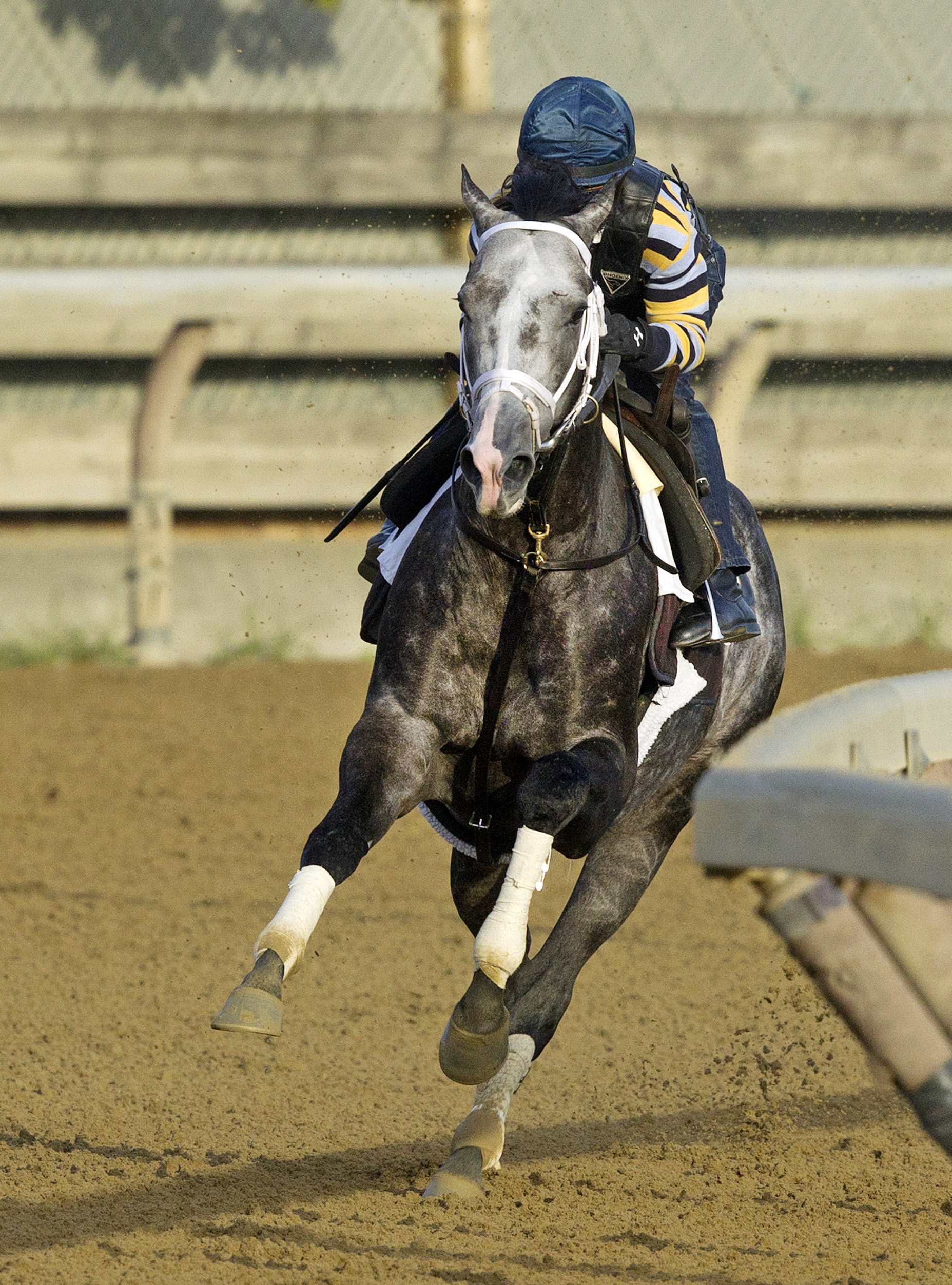 Liam's Map trains at Saratoga on Sept. 26