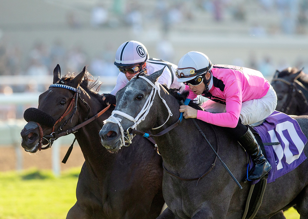 Liam's Dove (right) wins the 2021 Del Mar Juvenile Fillies Turf