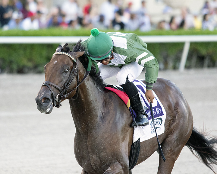 Liam's Lucky Charm wins the 2019 Affirmed Stakes at Gulfstream Park