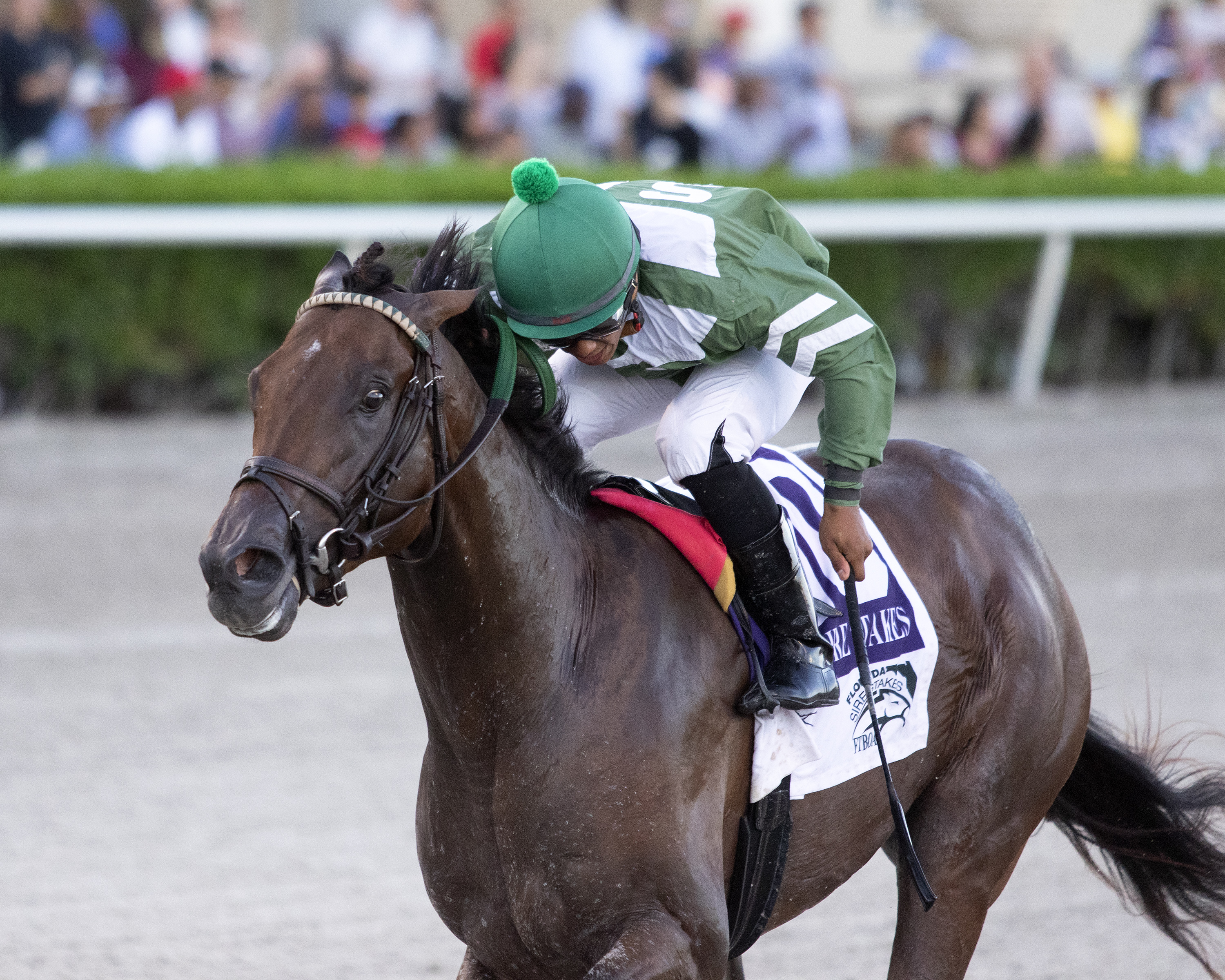 Liam's Lucky Charm wins Affirmed Stakes at Gulfstream Park 8-31-2019.Nicole Thomas-Coglianese Photos