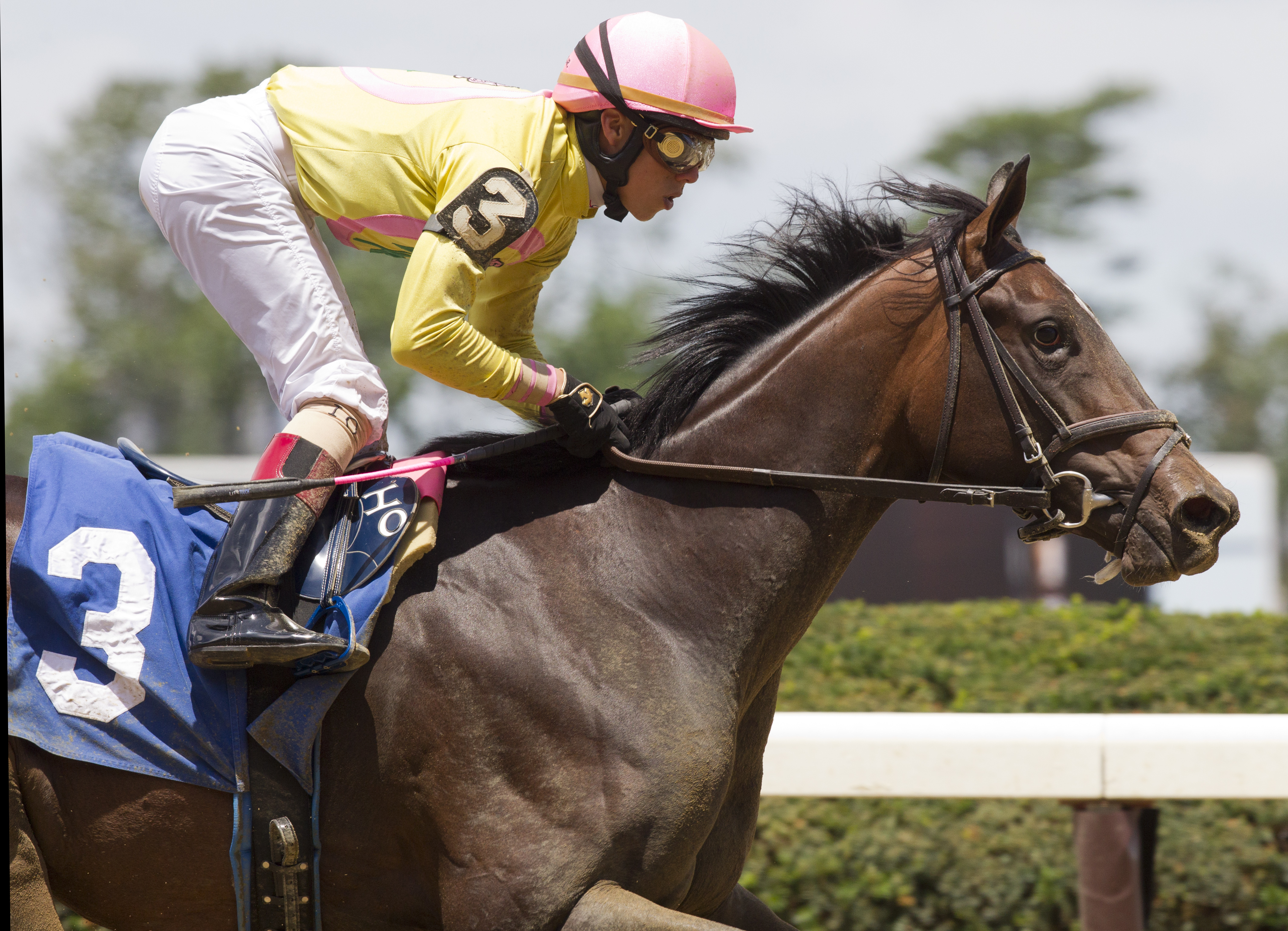 Libby's Tail wins a maiden race