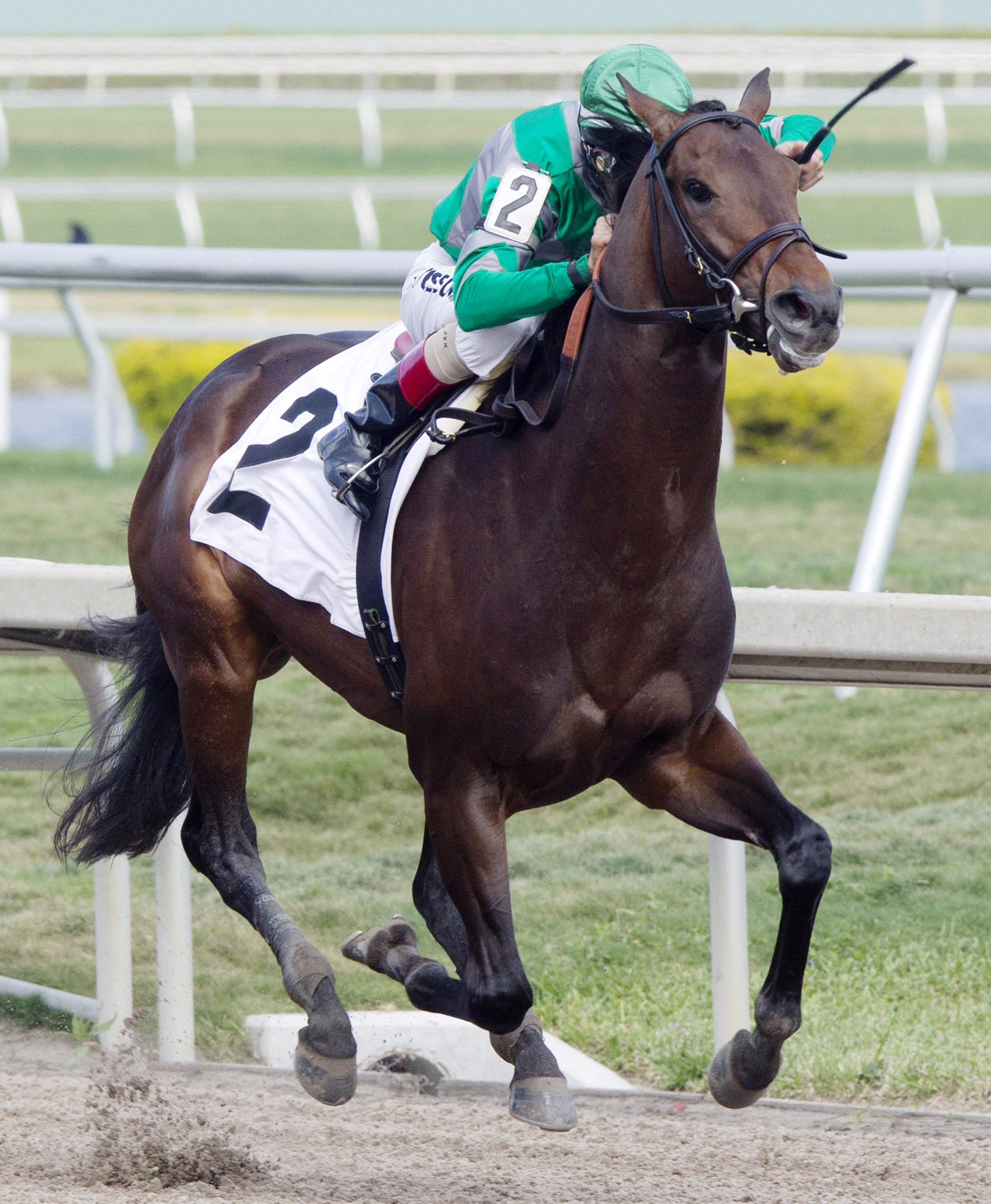 Lieutenant Colonel wins a maiden race