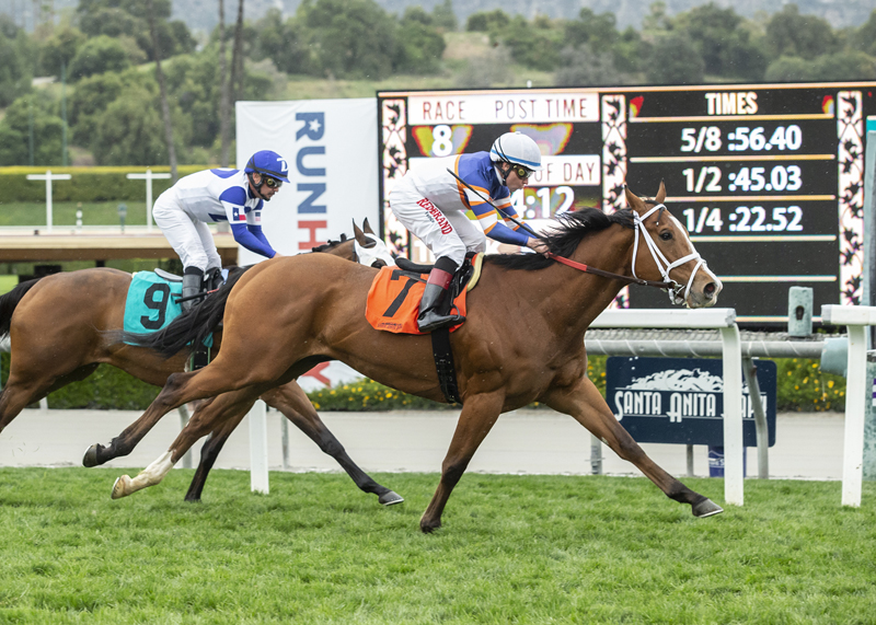 Lieutenant Dan wins the 2020 Sensational Star Stakes