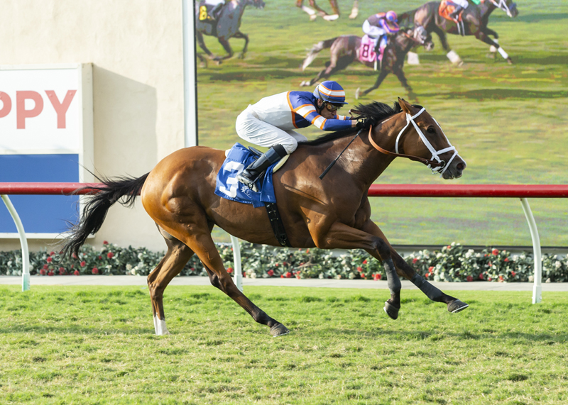Lieutenant Dan wins Green Flash Handicap 8-22-2021