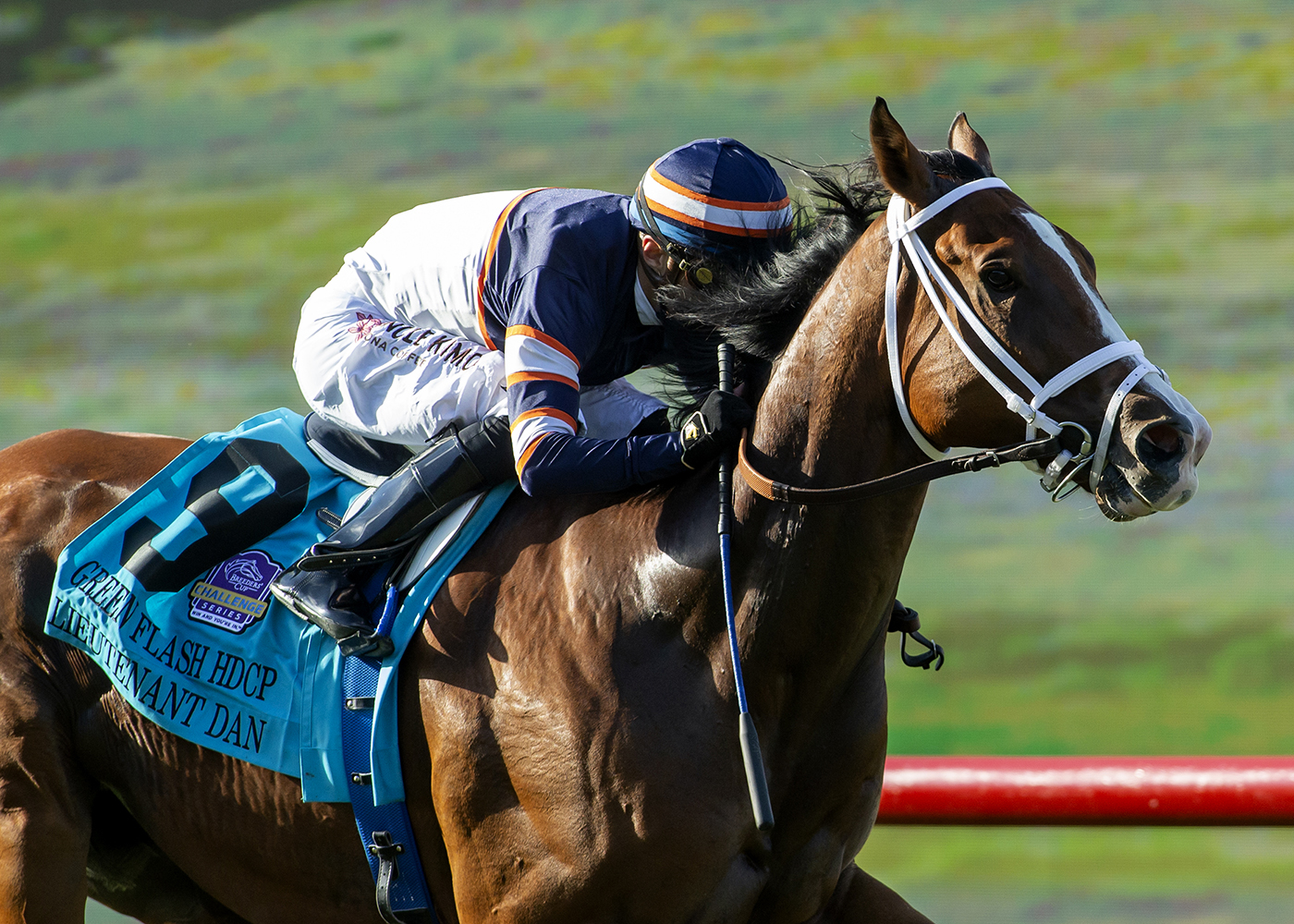 Lieutenant Dan wins Green Flash 9-4-2022a