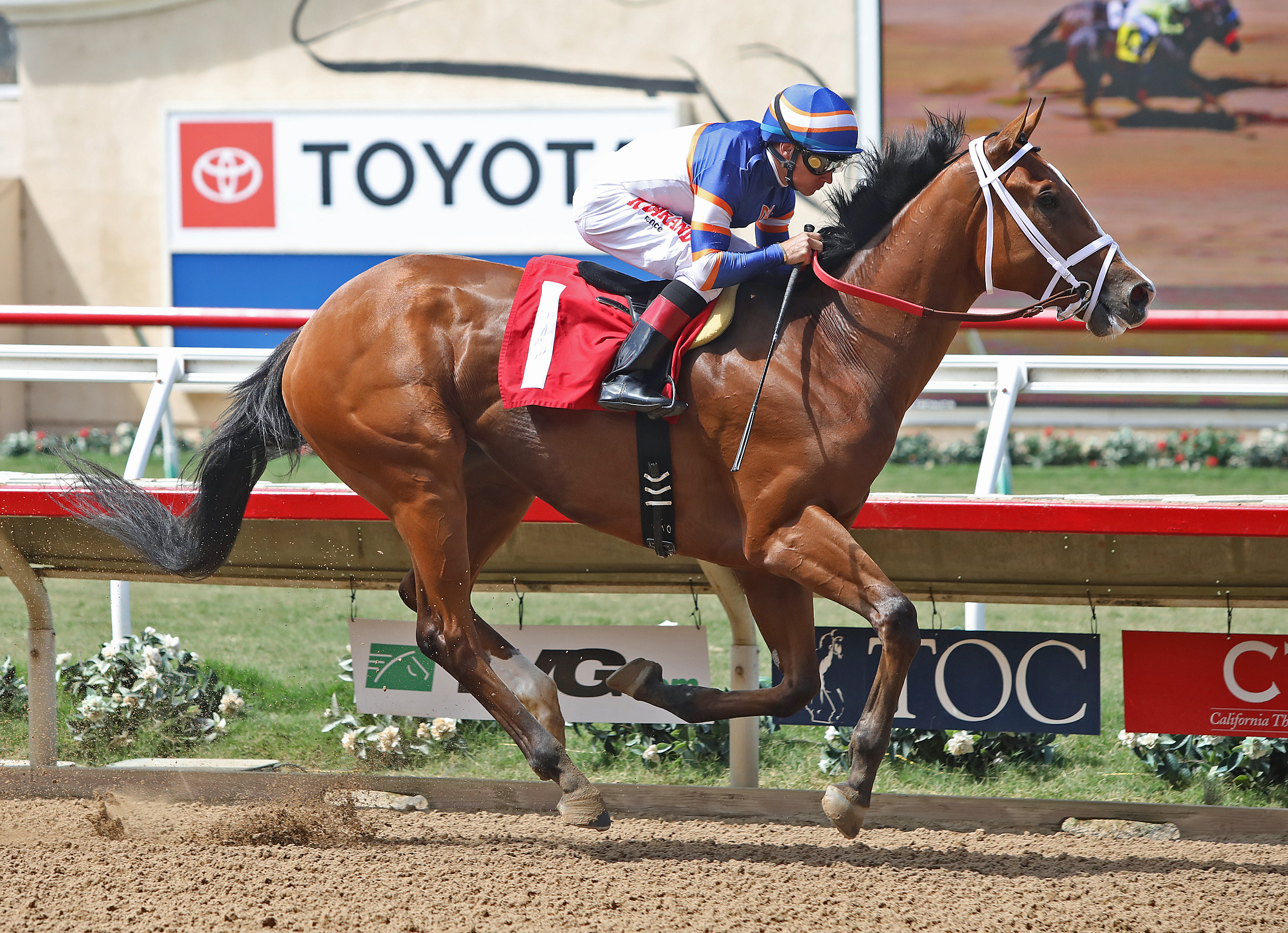 Lieutenant Dan wins the 2019 Real Good Deal Stakes