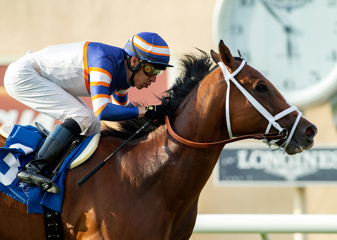 Lieutenant Dan wins the 2021 Green Flash Handicap at Del Mar