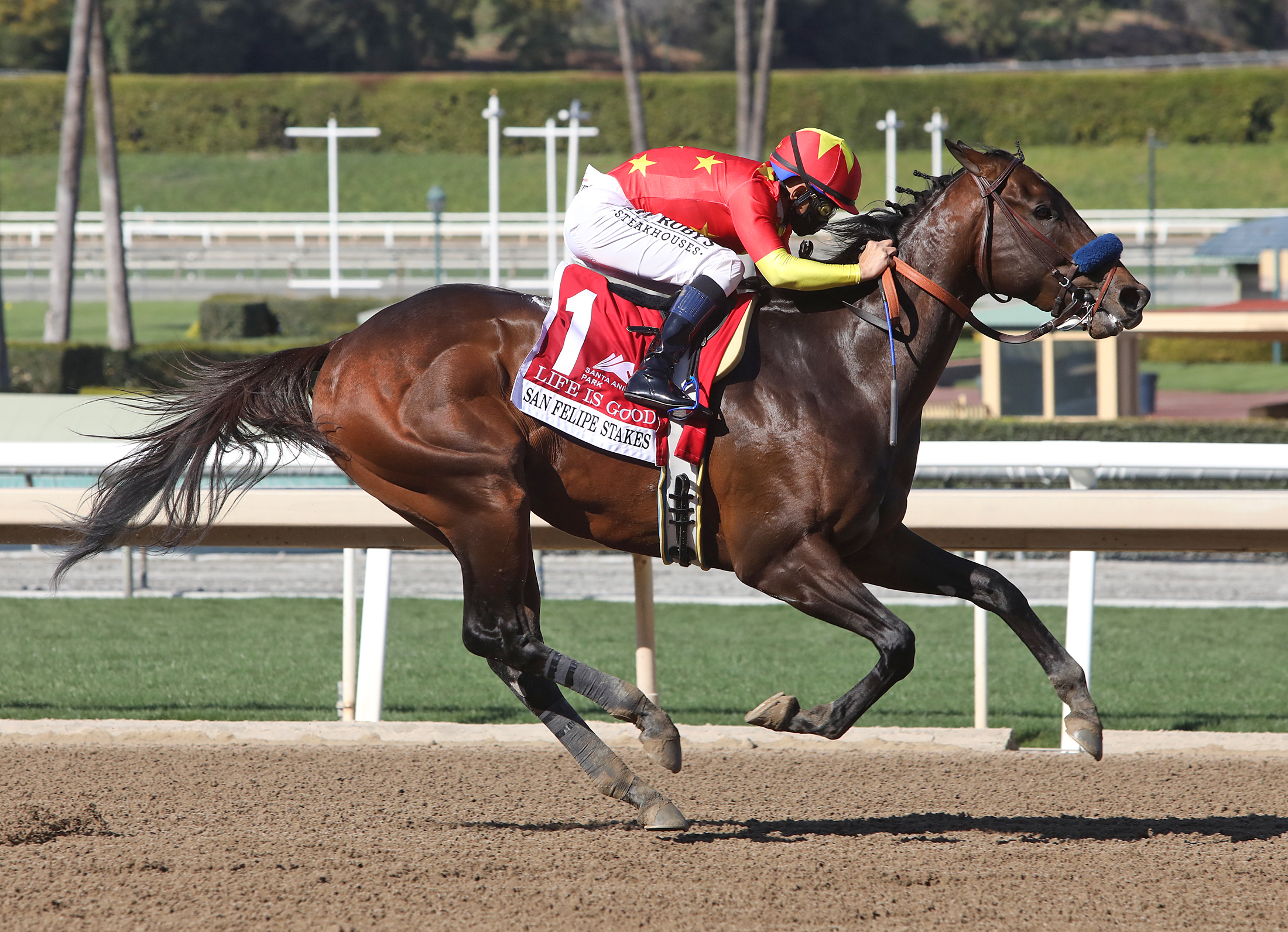 Life Is Good injured, will miss Santa Anita Derby