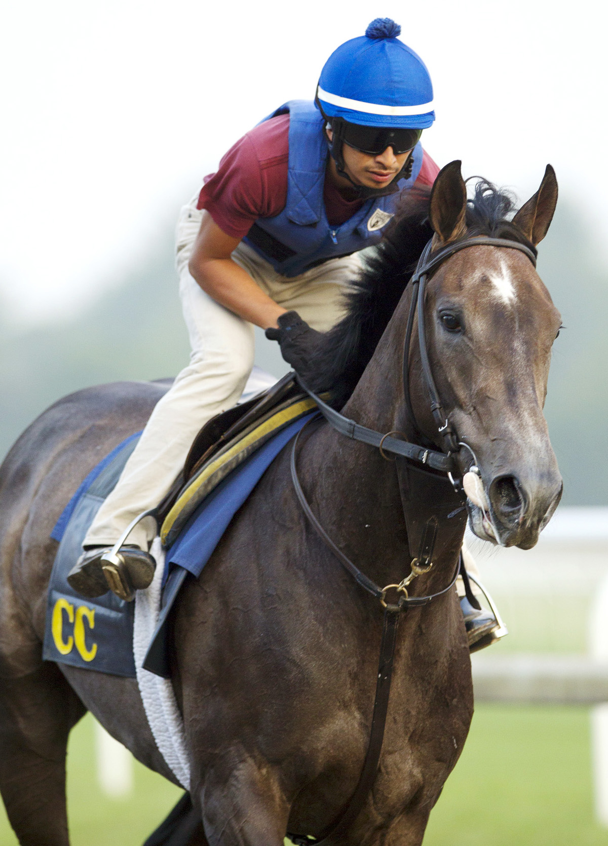 Life in Shambles at Saratoga on July 23