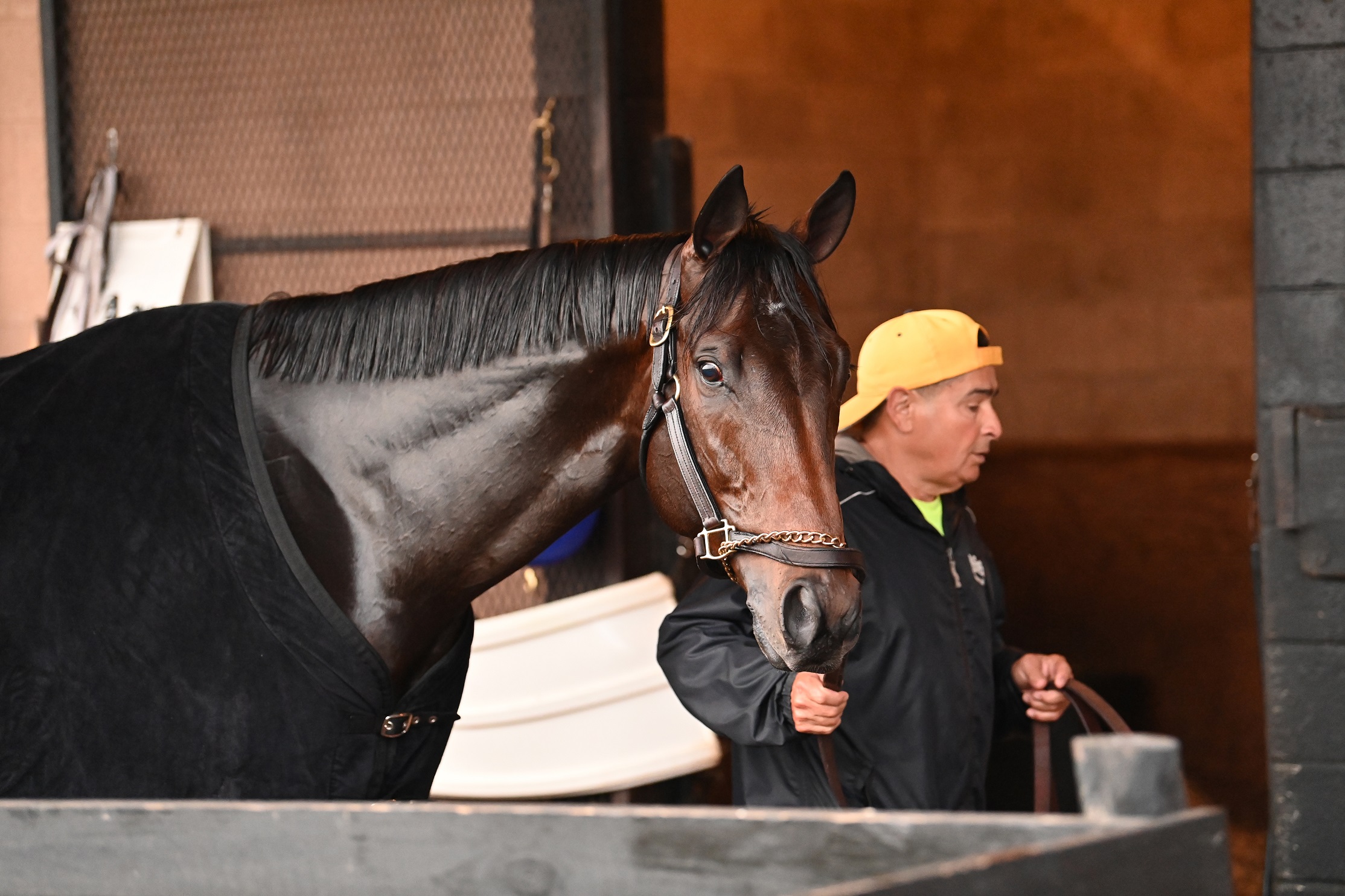Life is Good - Credit Sonny - Coglianese Photo