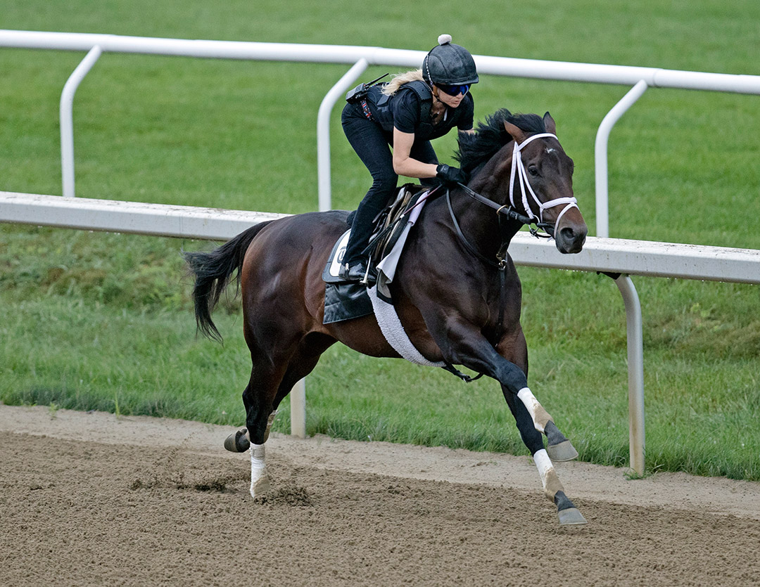 Life Is Good trains at Saratoga Race Course on Aug. 14