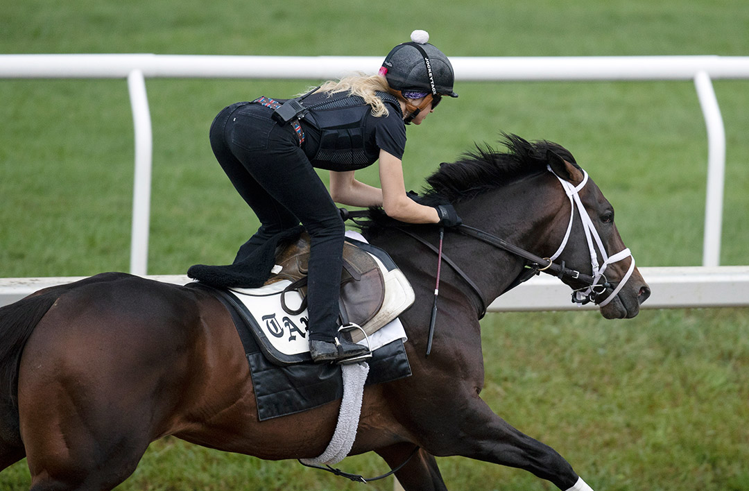 Life Is Good trains at Saratoga Race Course in August 2021