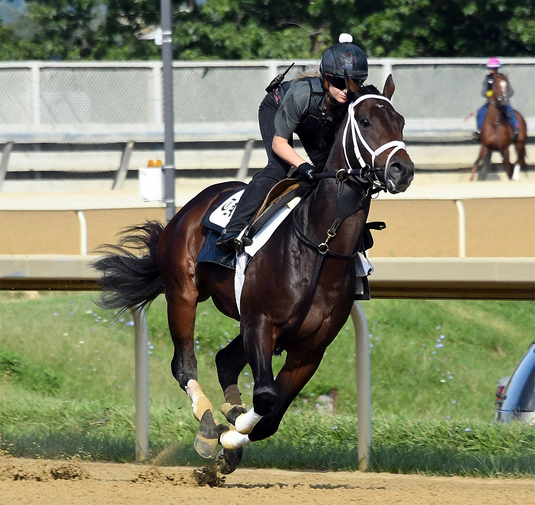 Life Is Good works at Belmont Park on Sept. 18