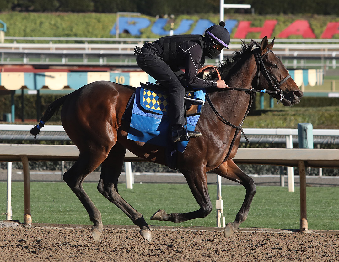 Life Is Good trains at Santa Anita on Jan. 30