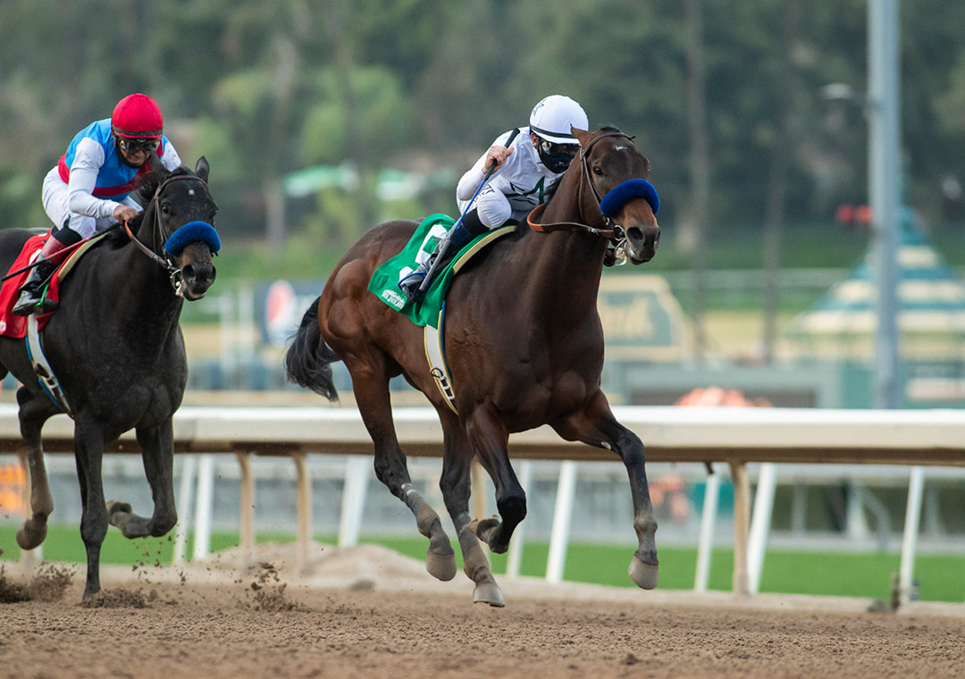 Life Is Good wins the 2021 Sham Stakes at Santa Anita