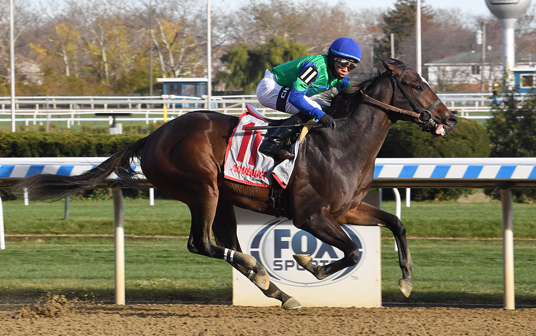 Life Is Great wins a Nov. 20 maiden race at Aqueduct Racetrack