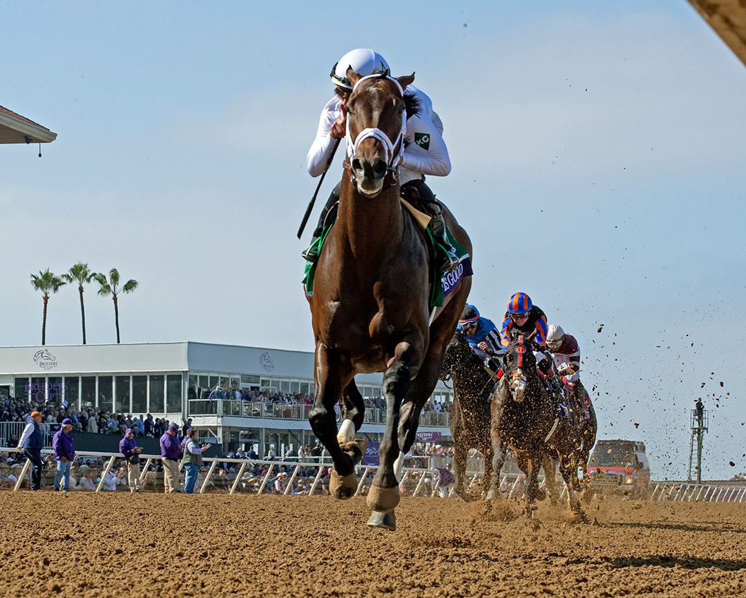 Life Is Good wins the 2021 Breeders' Cup Dirt Mile at Del Mar