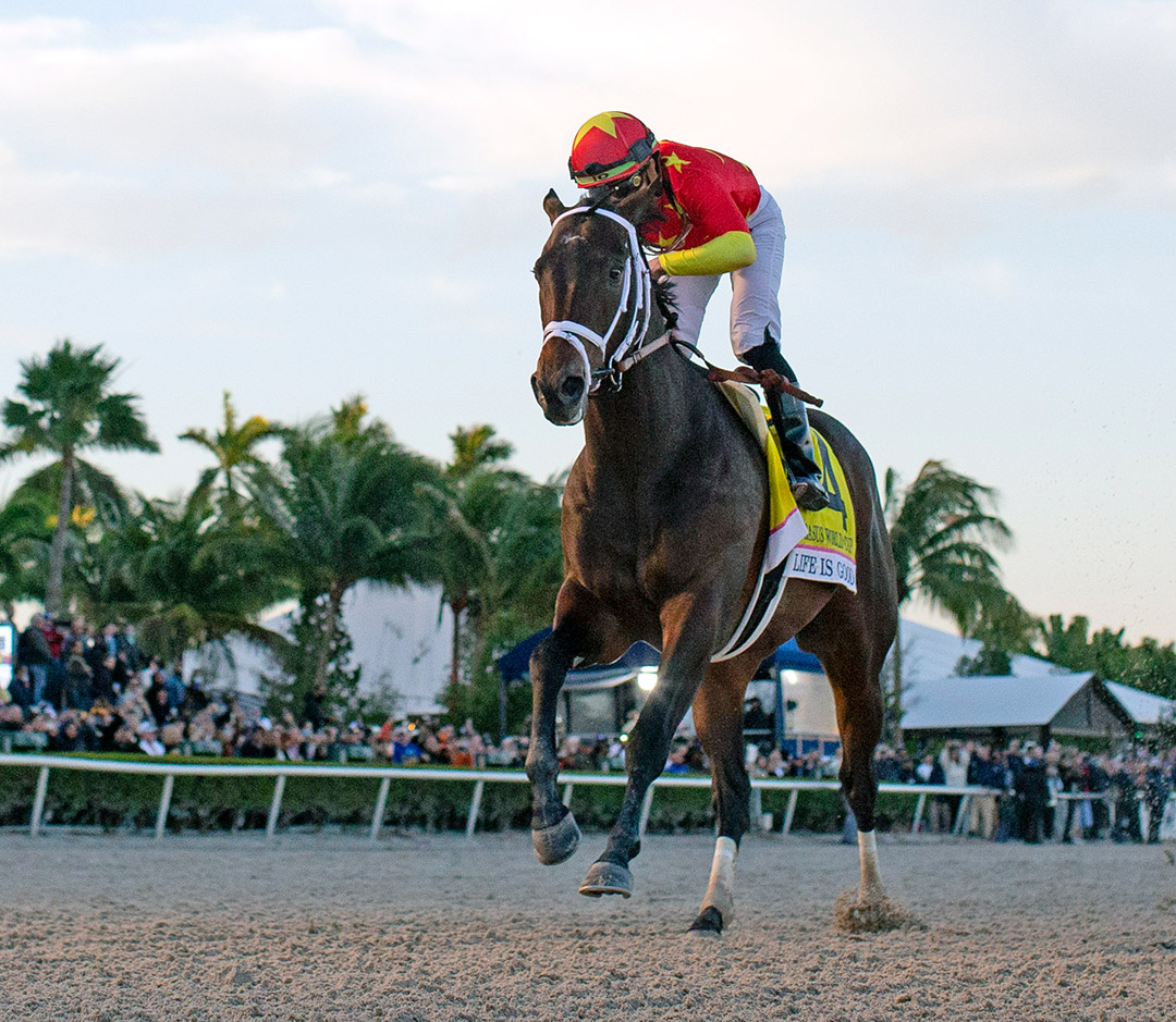Life Is Good wins the Pegasus World Cup at Gulfstream Park
