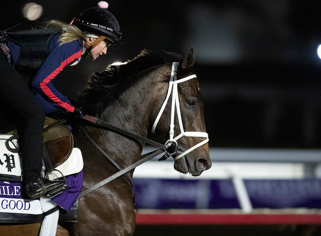 Life Is Good trains at Del Mar on Nov. 2