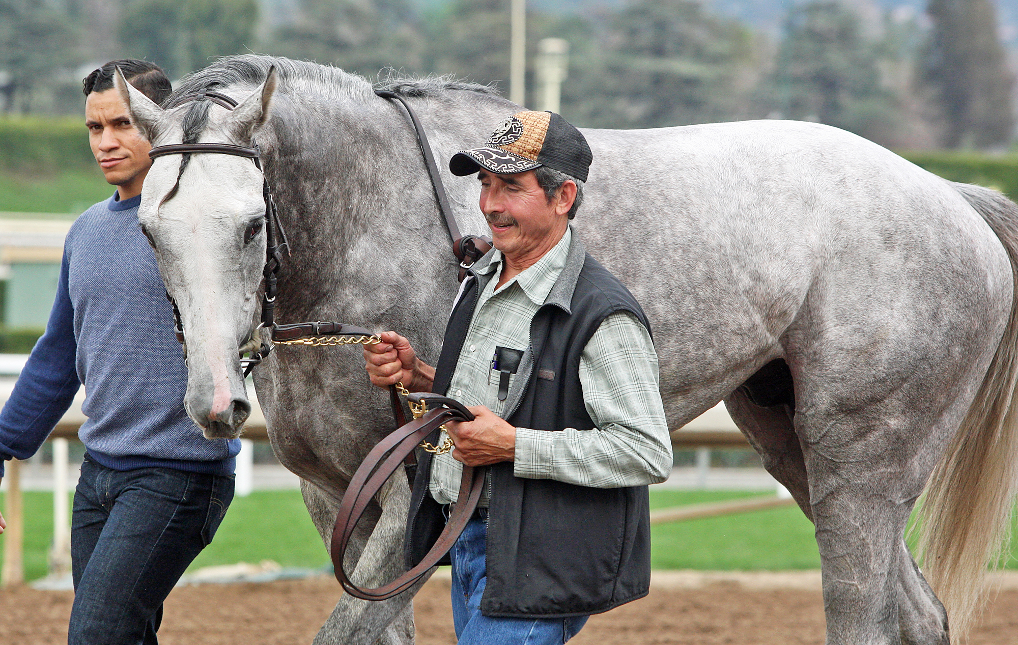 Lifeline at Santa Anita Park in February 2017