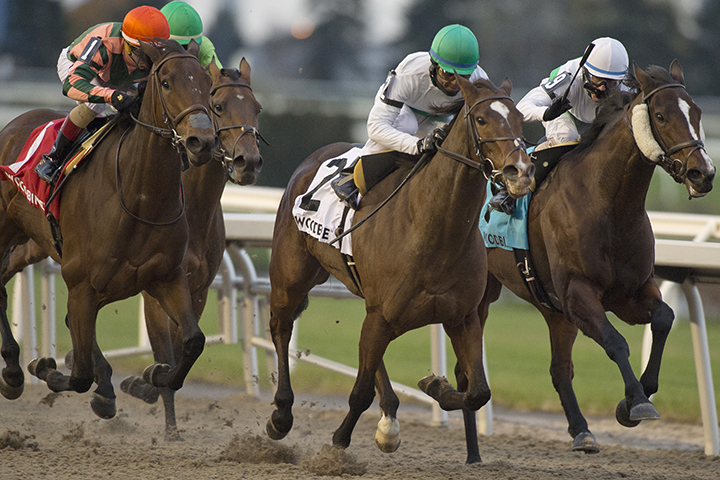 Lift Up wins the 2019 Maple Leaf Stakes at Woodbine Racetrack