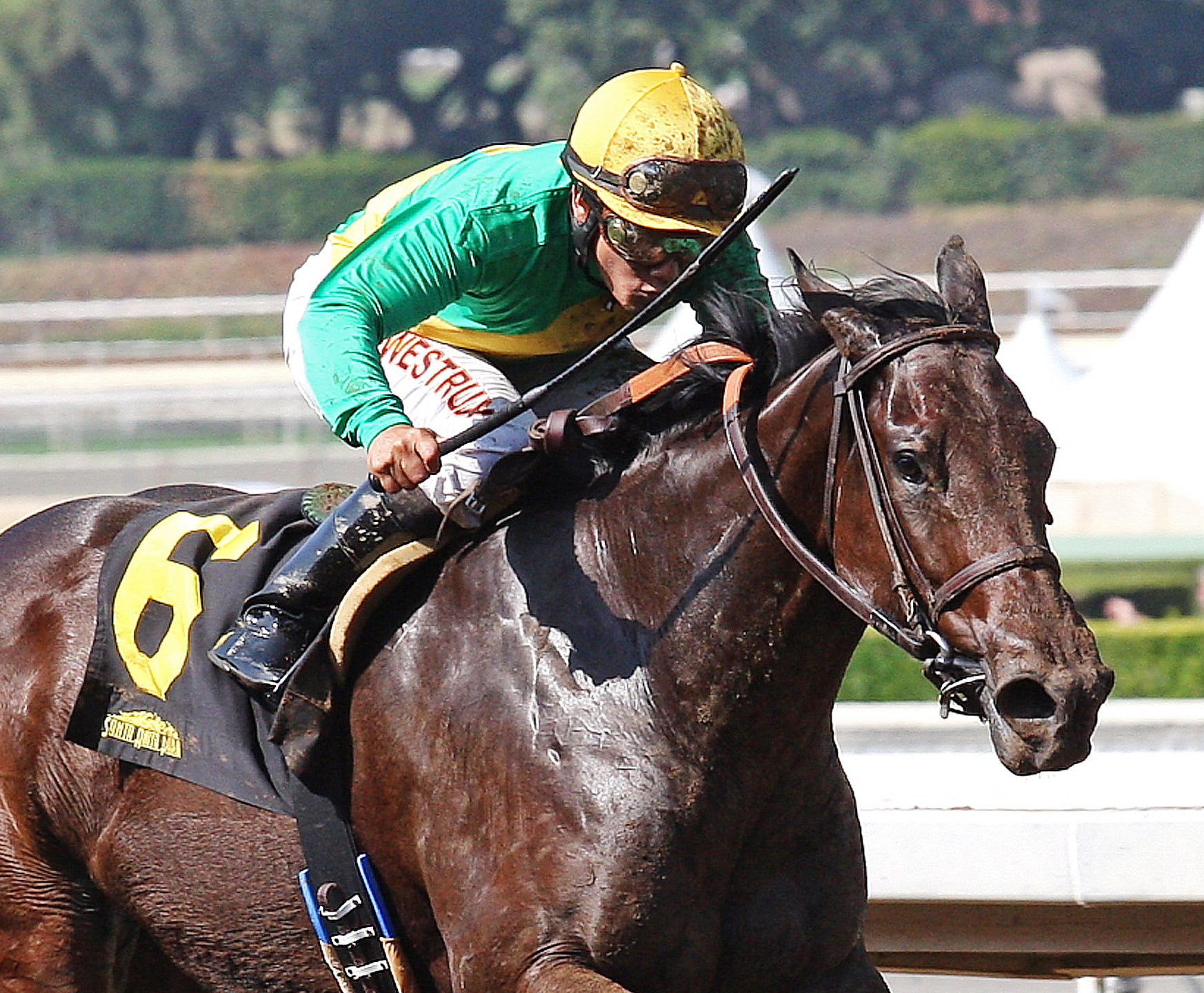 Light the City wins the Anoakia Stakes