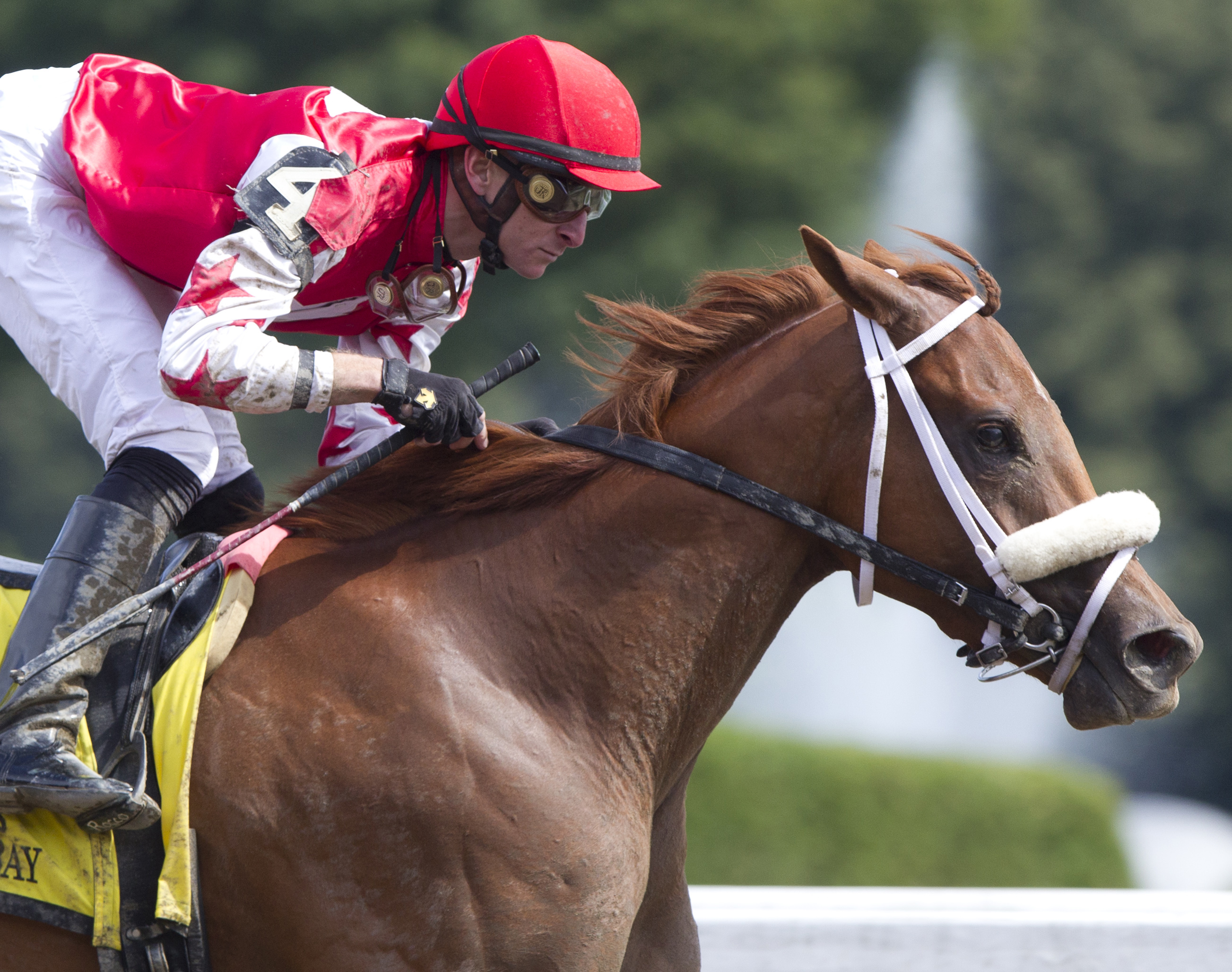 Lighthouse Bay, Prioress Stakes