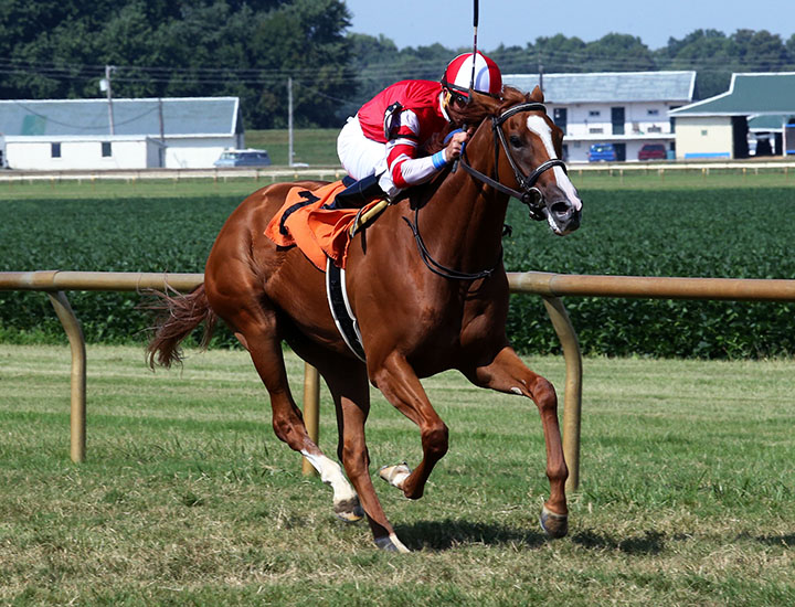 Lightscameraaction wins an Ellis Park maiden race on 8.10.18