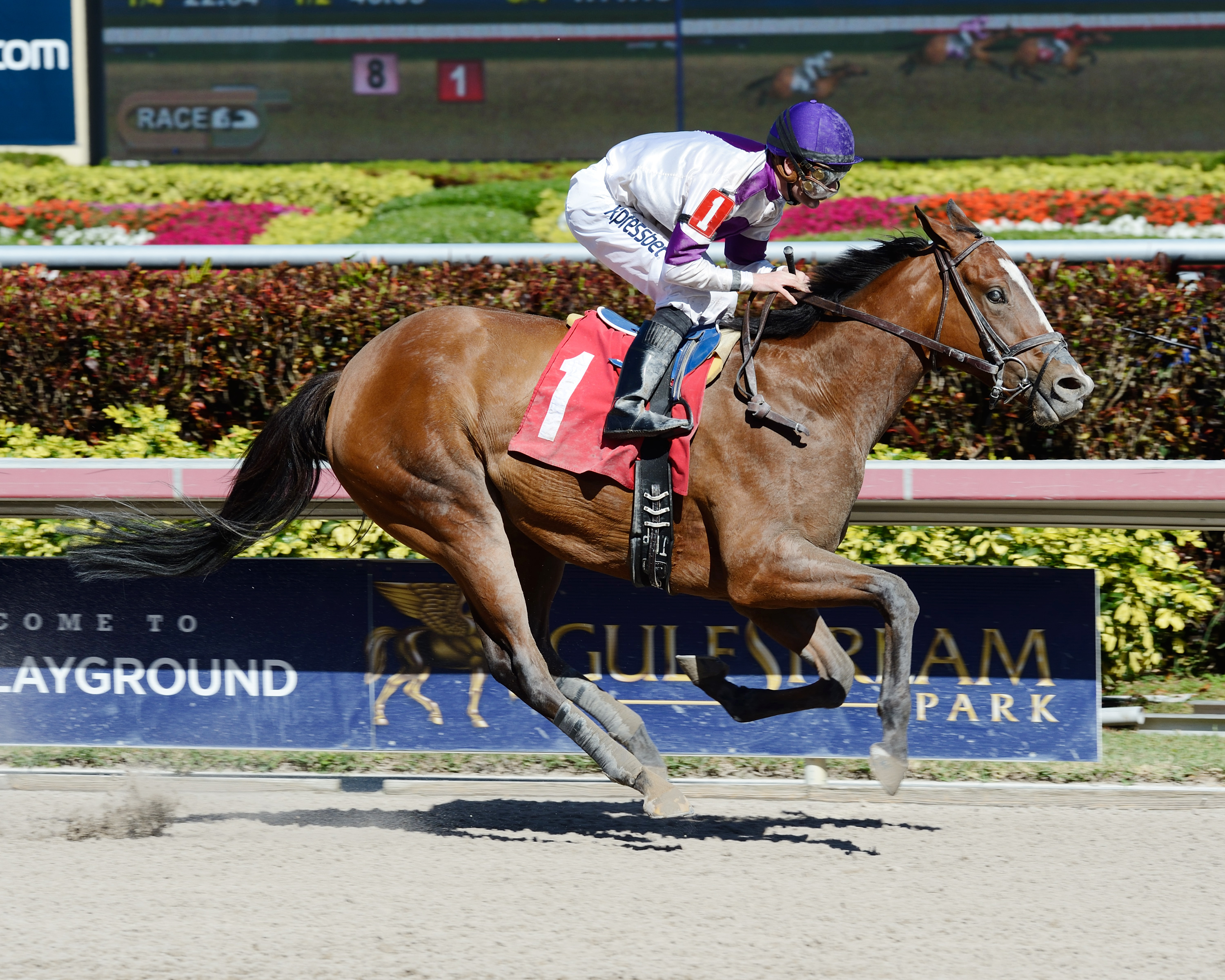 Lightstream wins a maiden race