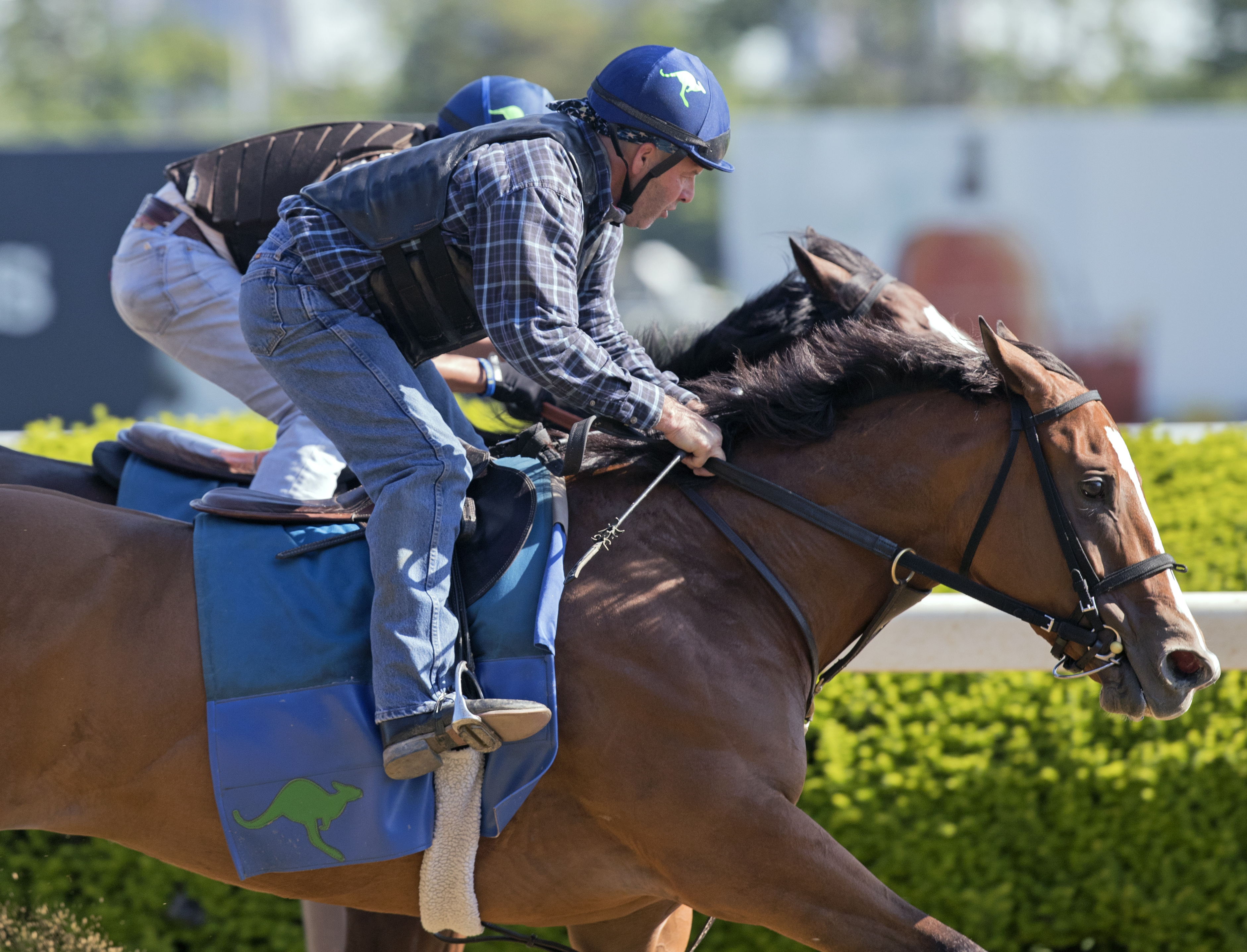 Lightstream trains at Belmont on June 2