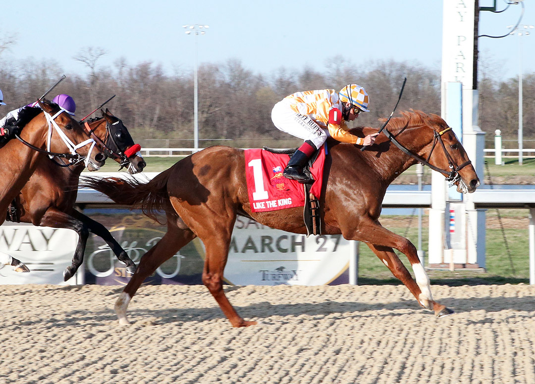 Like the King wins the 2021 Jeff Ruby Steaks at Turfway Park