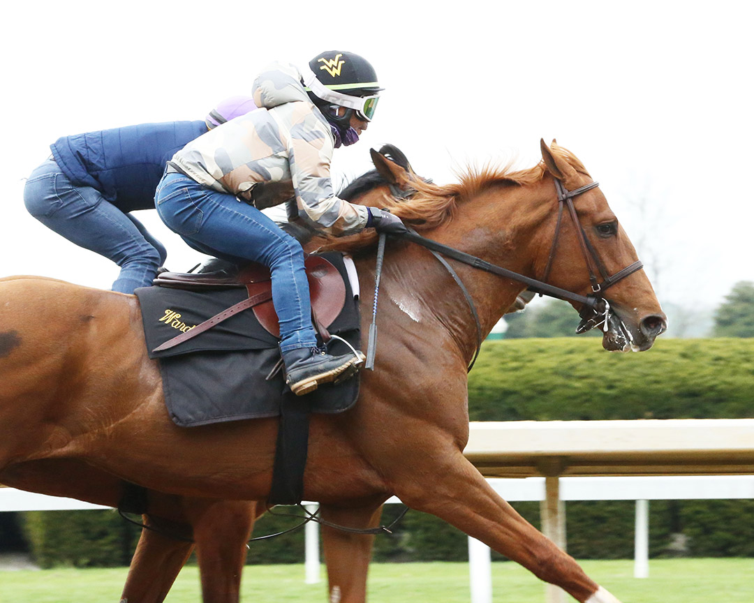 Like the King trains at Keeneland on April 17