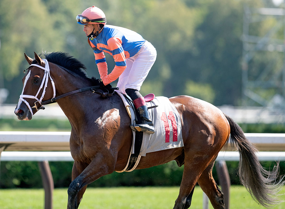 Likeable at Saratoga Race Course in August 2020