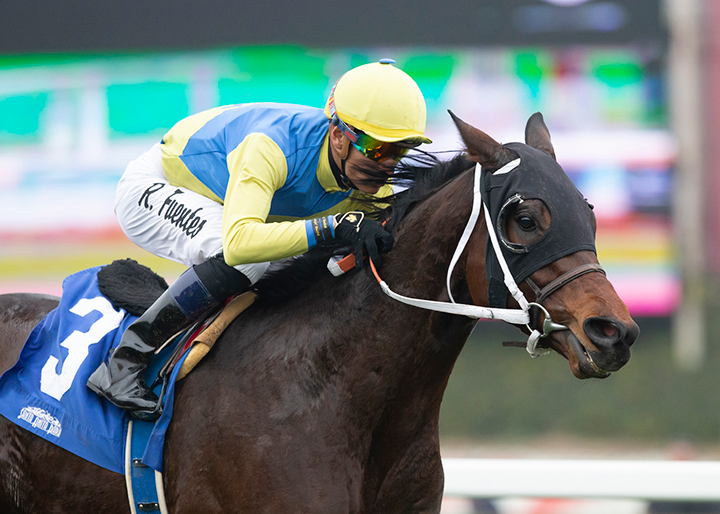 Lil Milo wins the 2020 Clocker's Corner Stakes at Santa Anita Park