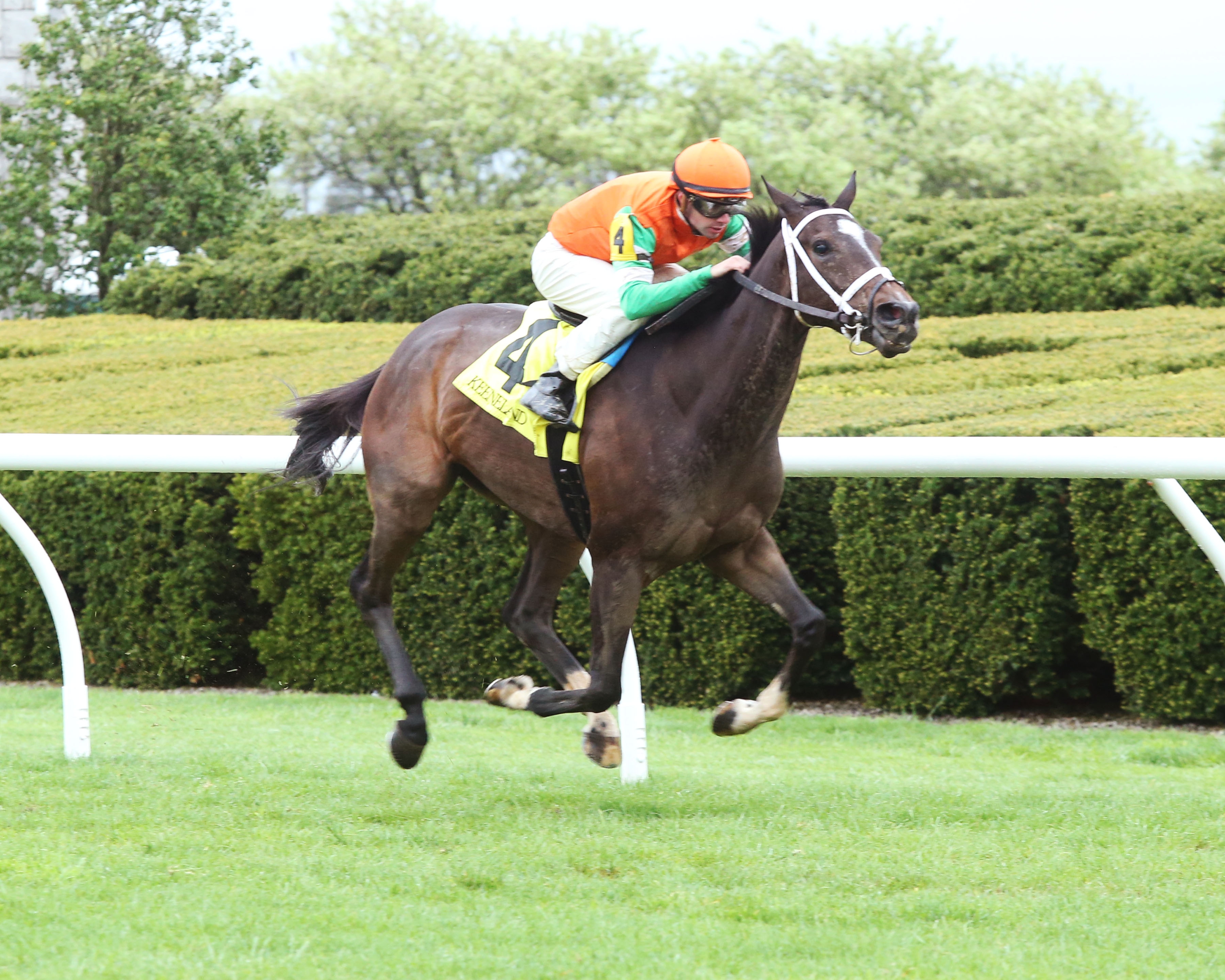 Limari wins a Keeneland allowance on 4.19.19