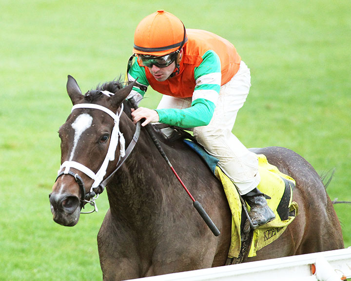Limari wins an April 19 allowance at Keeneland Racecourse