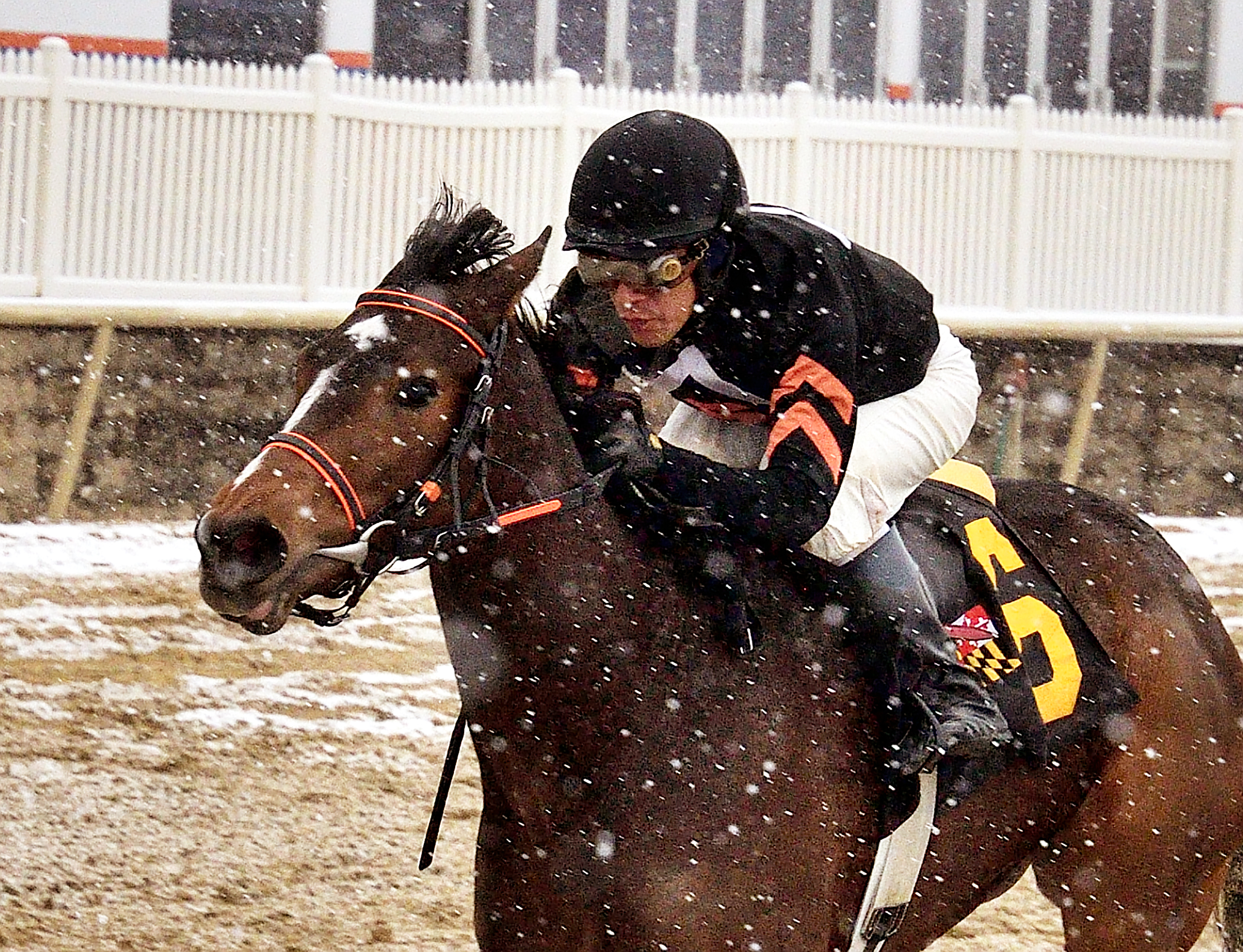 Limited View wins the 2017 Maryland Juvenile Fillies Championship