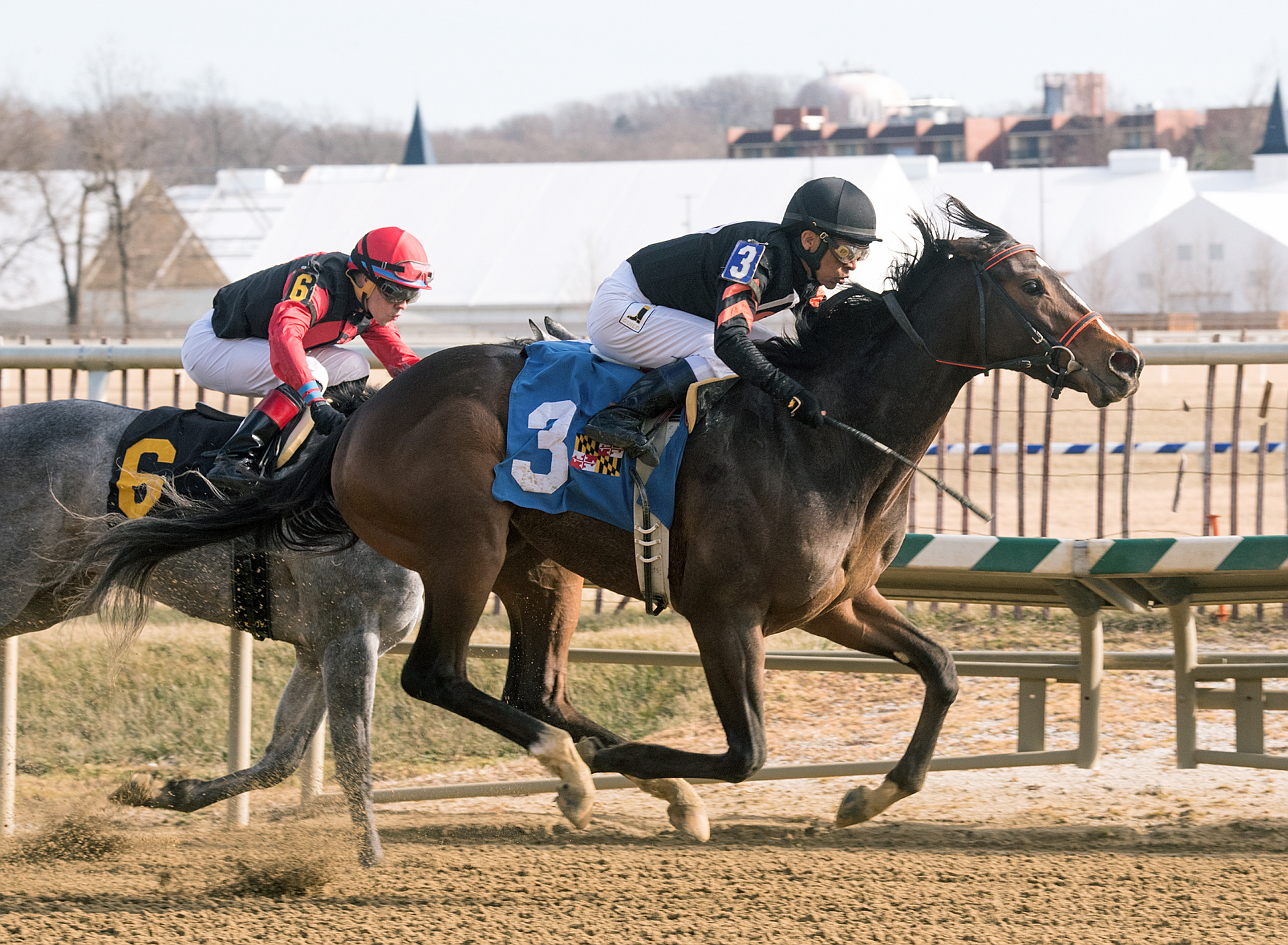 Limited View wins the 2018 Marshua Stakes