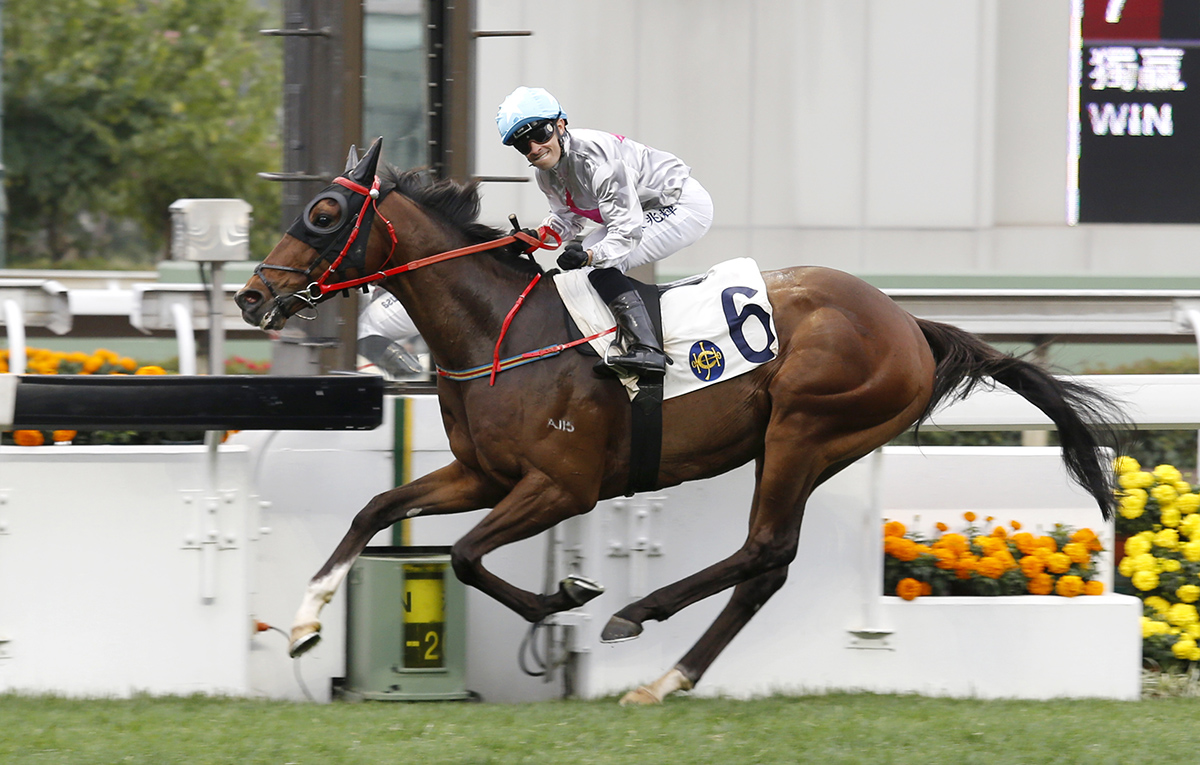 Limitless wins a Feb. 19, 2017 race at Sha Tin