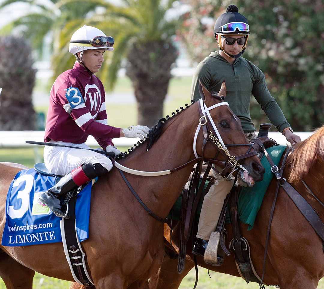 Limonite at the 2019 Louisiana Derby at Fair Grounds
