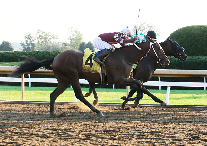 Limonite wins an Oct. 6 maiden race