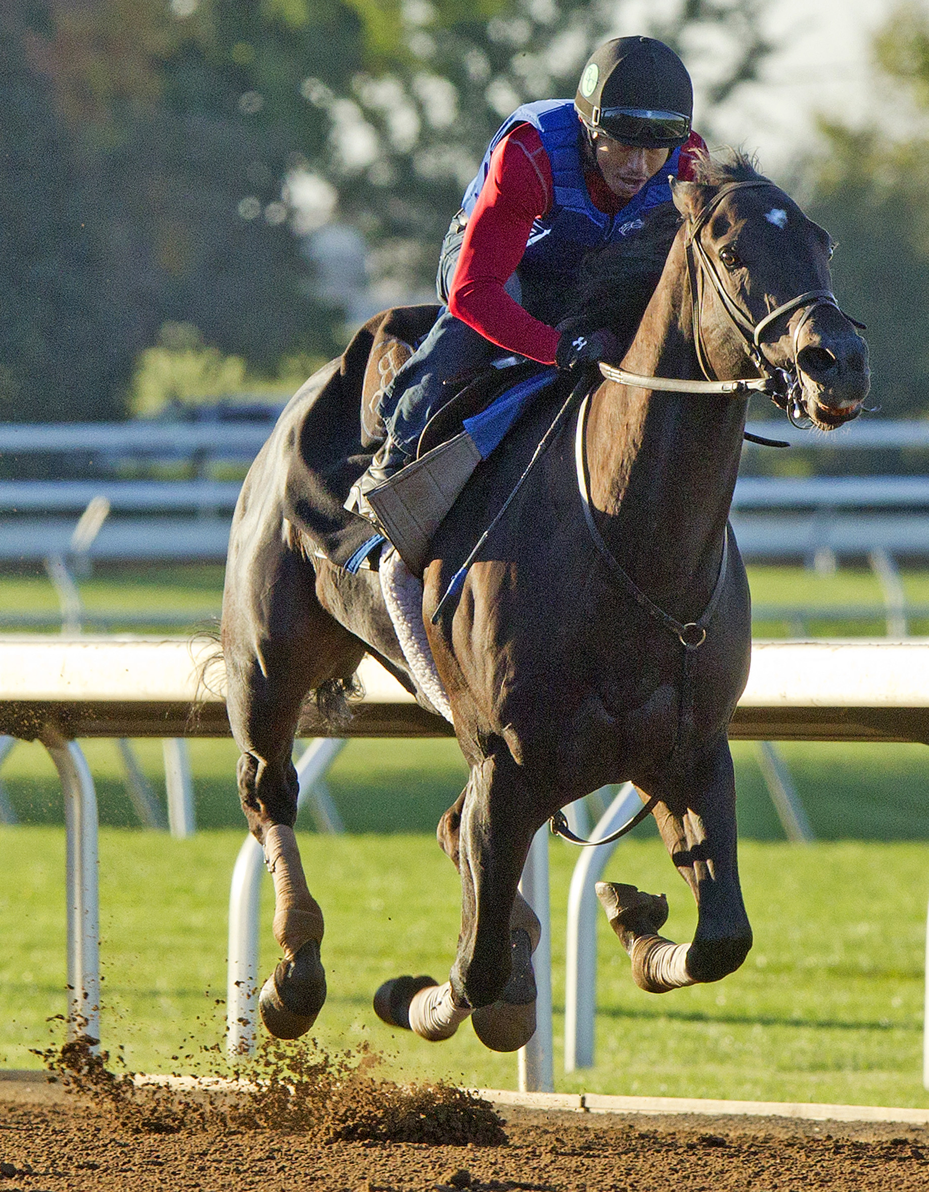 Limousine Liberal train on Oct. 16