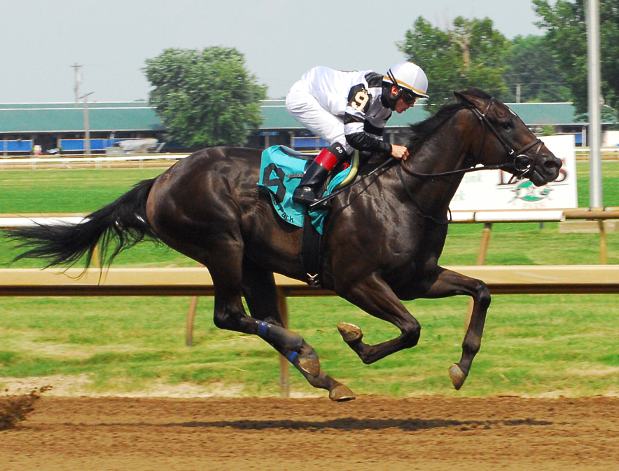 Limousine Liberal wins an allowance