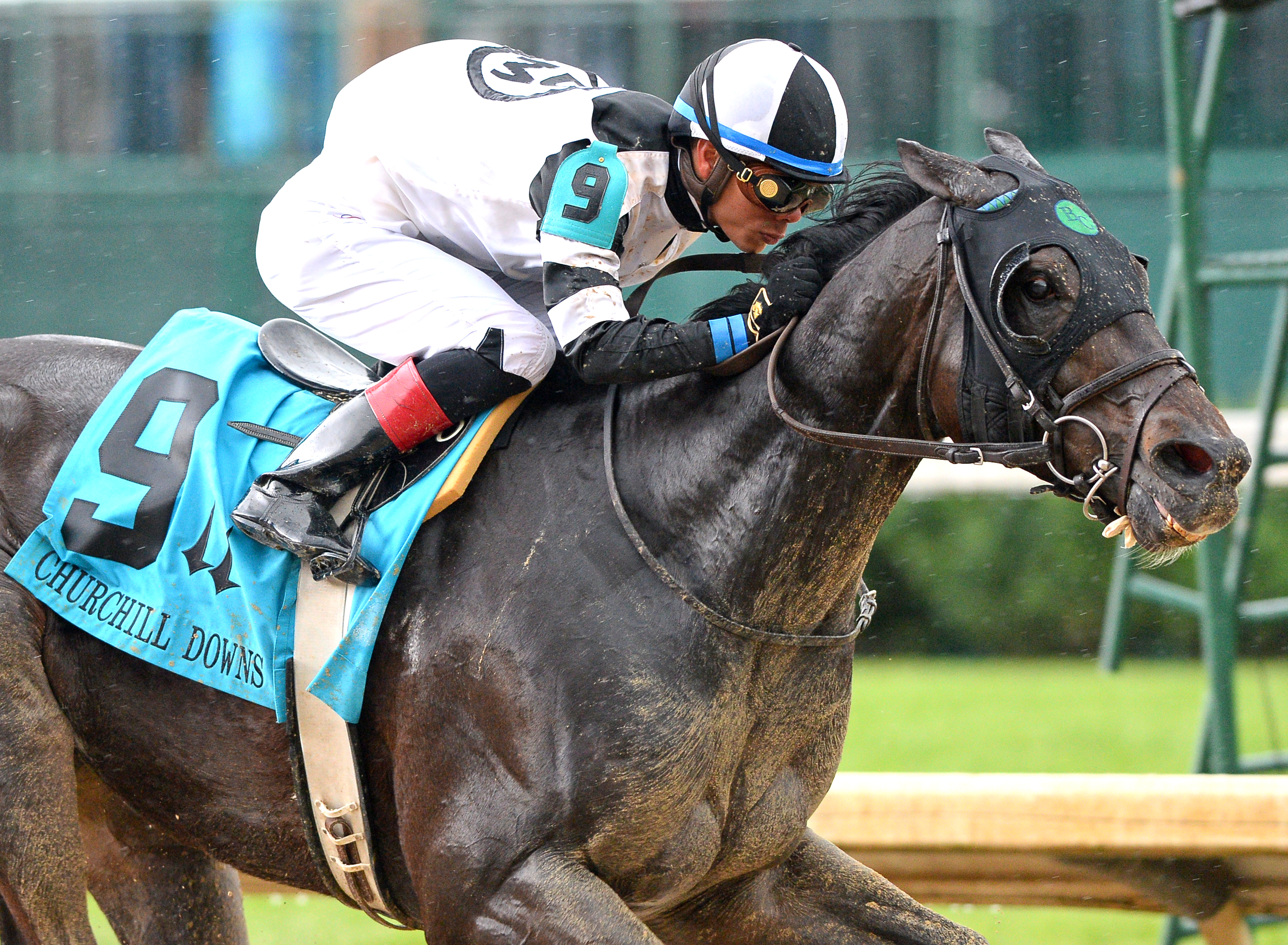 Limousine Liberal wins the Churchill Downs Stakes
