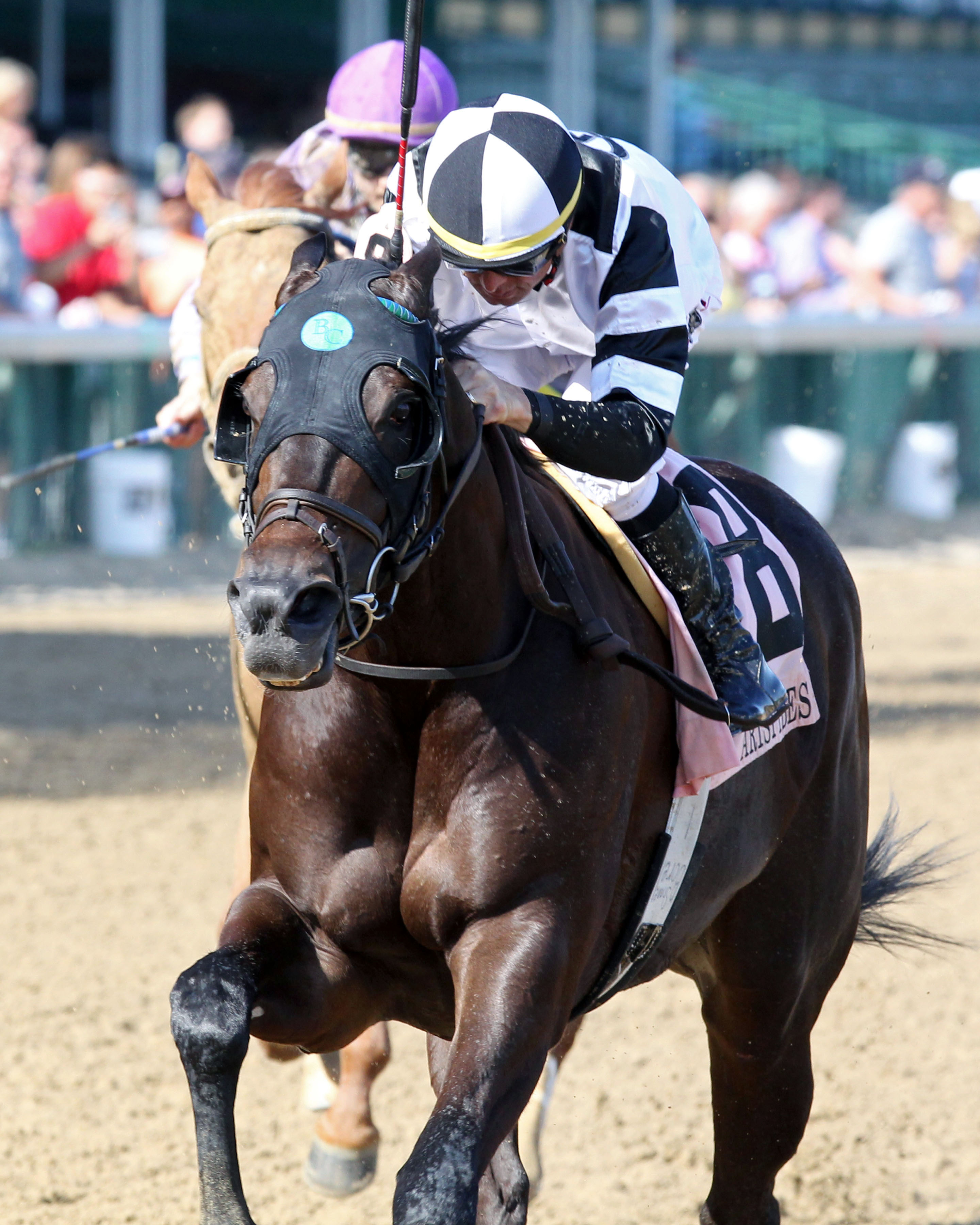 Limousine Liberal wins the Aristides