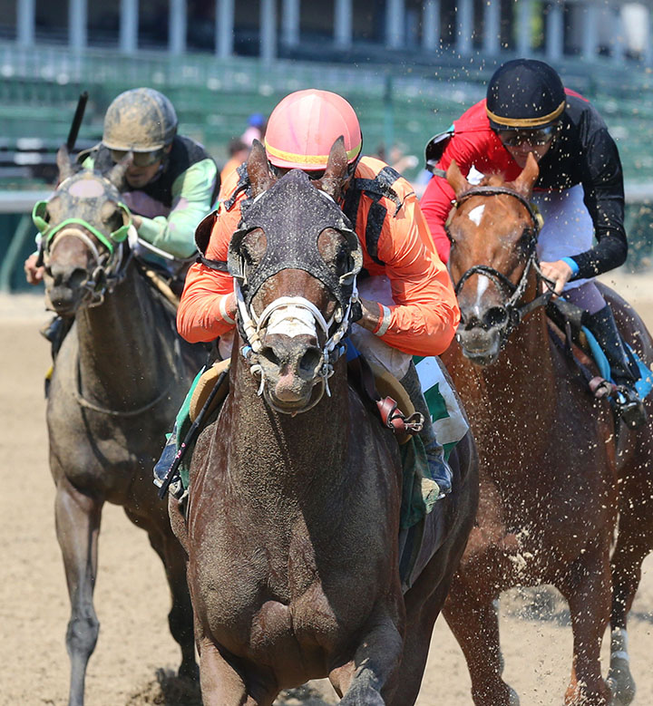Line Judge wins the 2019 Kelly's Landing Stakes at Churchill Downs
