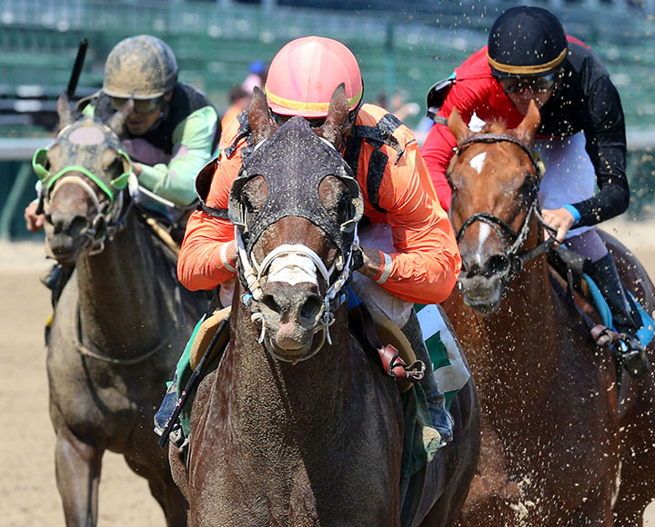 Line Judge wins the 2019 Kelly's Landing Stakes at Churchill Downs