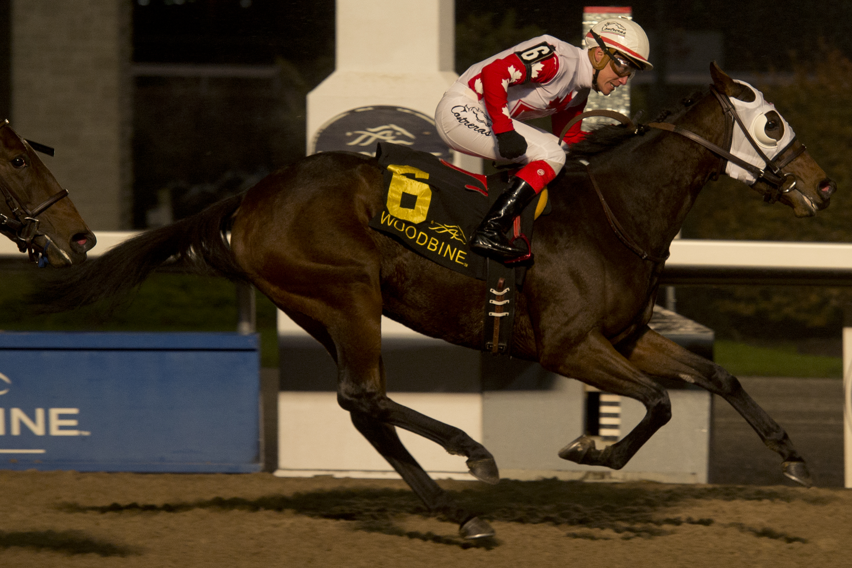 Line of Vision wins the 2017 South Ocean Stakes