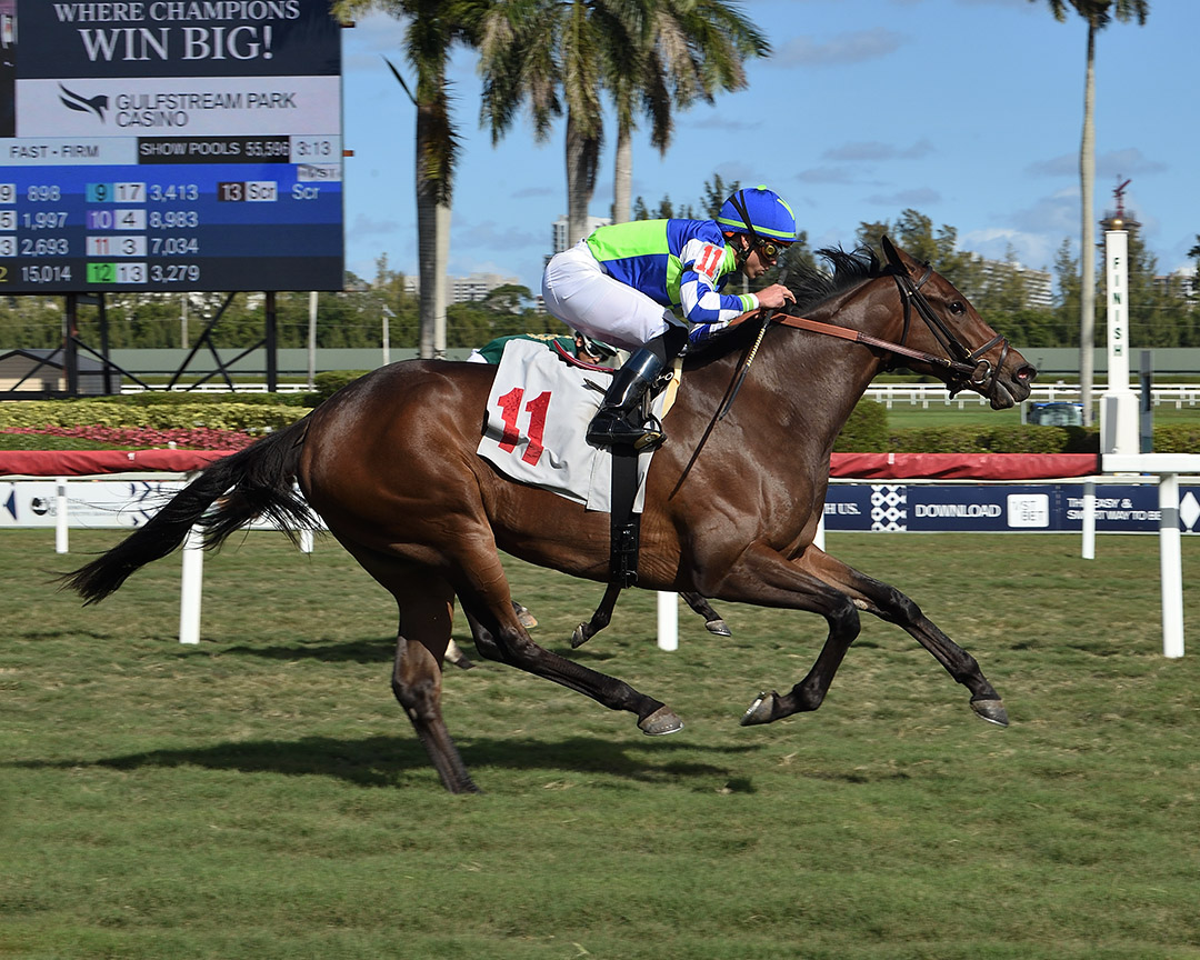 Linny Kate wins a February 2020 maiden race at Gulfstream Park